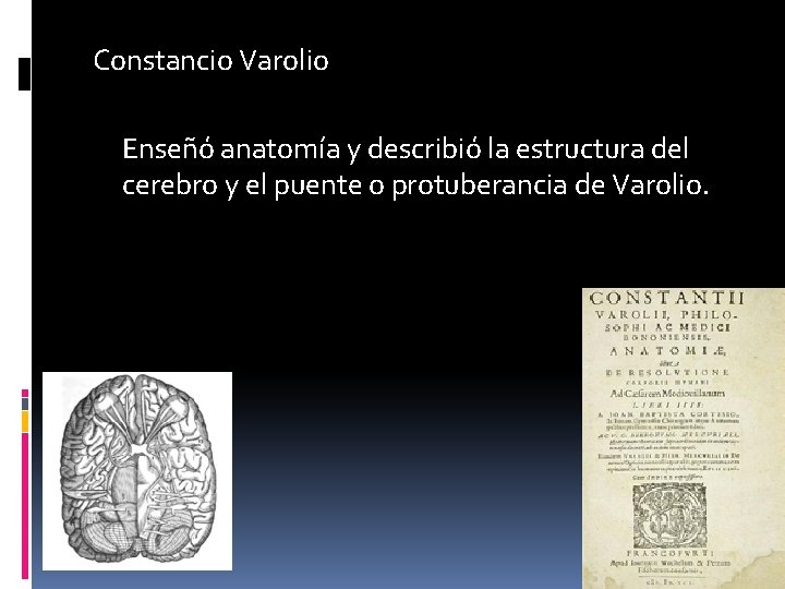 Constancio Varolio Enseñó anatomía y describió la estructura del cerebro y el puente o
