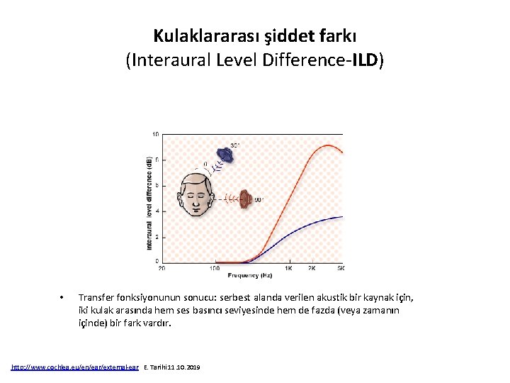 Kulaklararası şiddet farkı (Interaural Level Difference‐ILD) • Transfer fonksiyonunun sonucu: serbest alanda verilen akustik