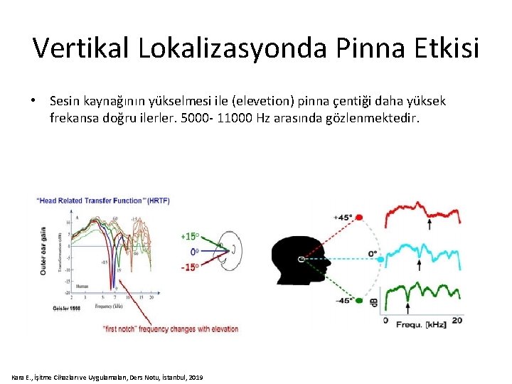 Vertikal Lokalizasyonda Pinna Etkisi • Sesin kaynağının yükselmesi ile (elevetion) pinna çentiği daha yüksek