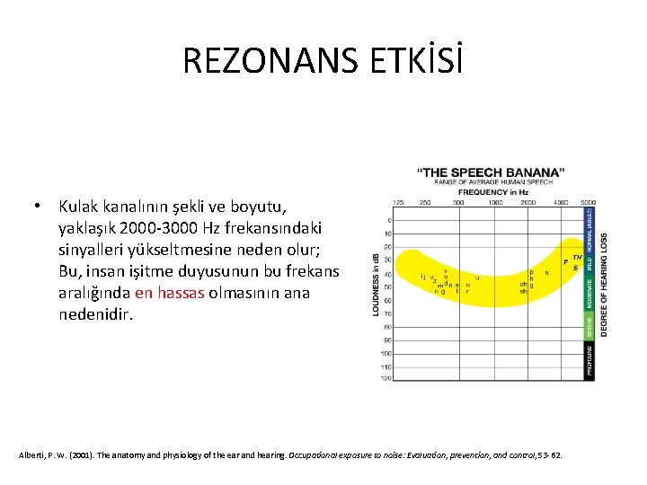 REZONANS ETKİSİ • Kulak kanalının şekli ve boyutu, yaklaşık 2000‐ 3000 Hz frekansındaki sinyalleri