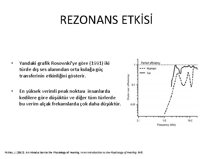 REZONANS ETKİSİ • Yandaki grafik Rosowski'ye göre (1991) iki türde dış ses alanından orta