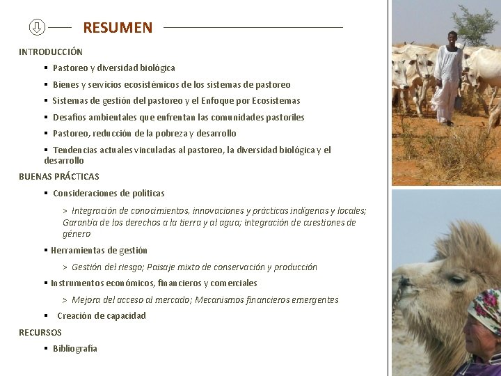 RESUMEN INTRODUCCIÓN § Pastoreo y diversidad biológica § Bienes y servicios ecosistémicos de los