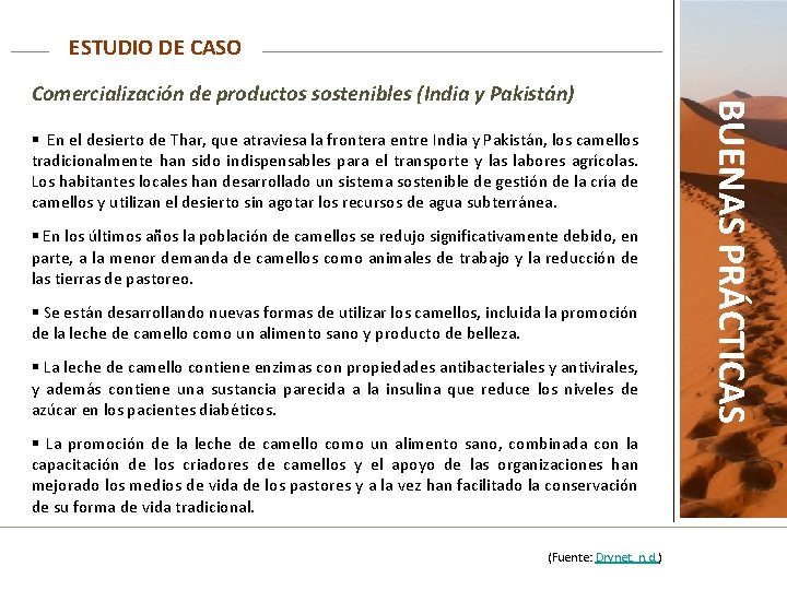 ESTUDIO DE CASO § En el desierto de Thar, que atraviesa la frontera entre