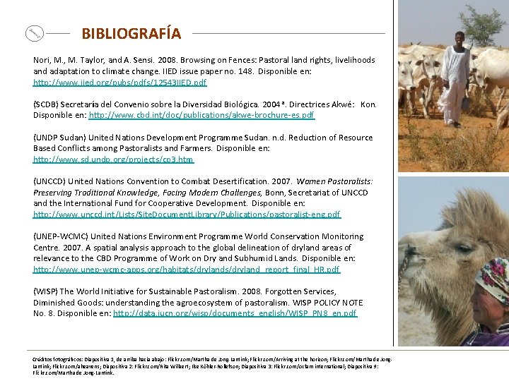 BIBLIOGRAFÍA Nori, M. Taylor, and A. Sensi. 2008. Browsing on Fences: Pastoral land rights,