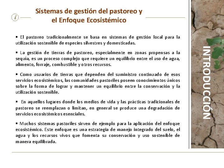 i Sistemas de gestión del pastoreo y el Enfoque Ecosistémico § La gestión de