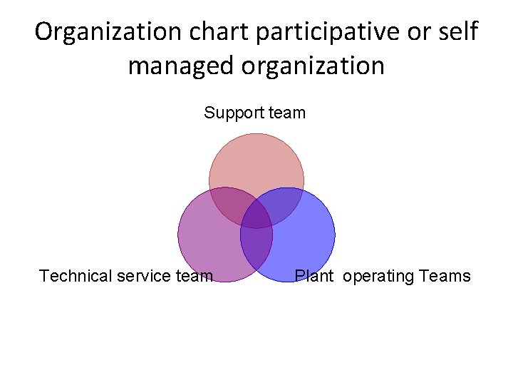 Organization chart participative or self managed organization Support team Technical service team Plant operating