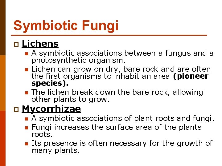 Symbiotic Fungi p Lichens n n n p A symbiotic associations between a fungus