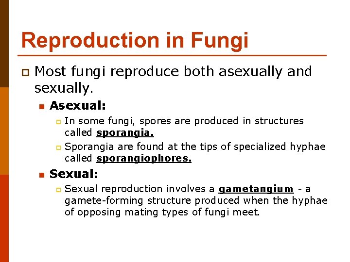 Reproduction in Fungi p Most fungi reproduce both asexually and sexually. n Asexual: In