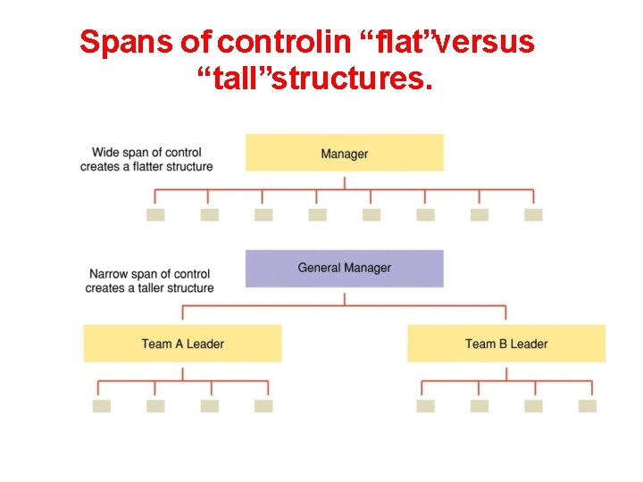 Spans of controlin “flat”versus “tall”structures. 