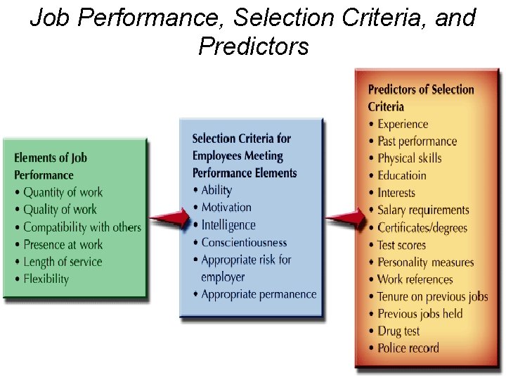 Job Performance, Selection Criteria, and Predictors 