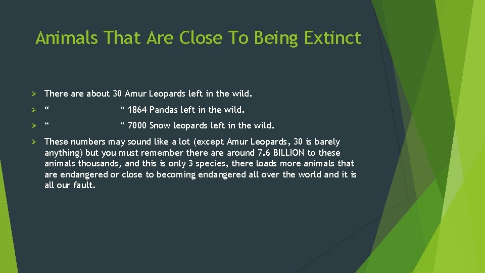 Animals That Are Close To Being Extinct Ø There about 30 Amur Leopards left