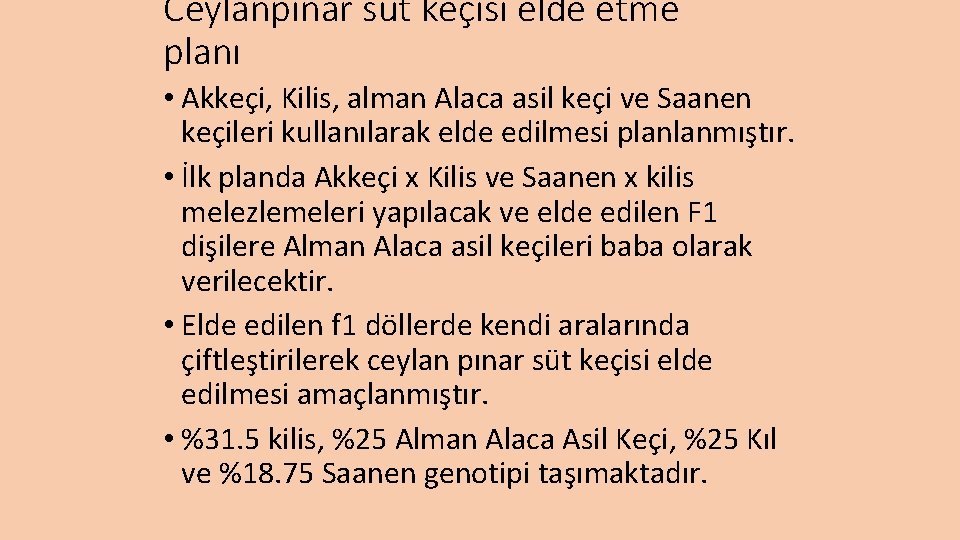 Ceylanpınar süt keçisi elde etme planı • Akkeçi, Kilis, alman Alaca asil keçi ve