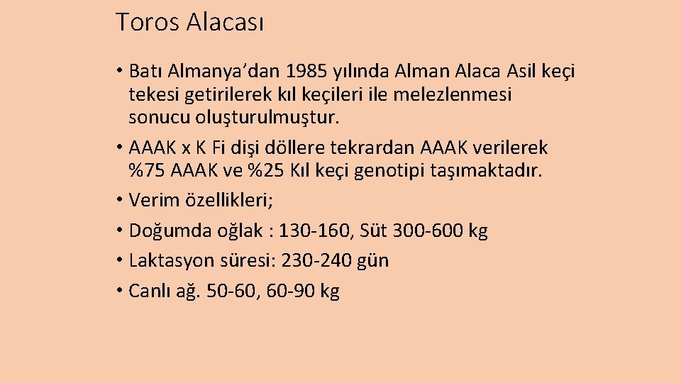 Toros Alacası • Batı Almanya’dan 1985 yılında Alman Alaca Asil keçi tekesi getirilerek kıl