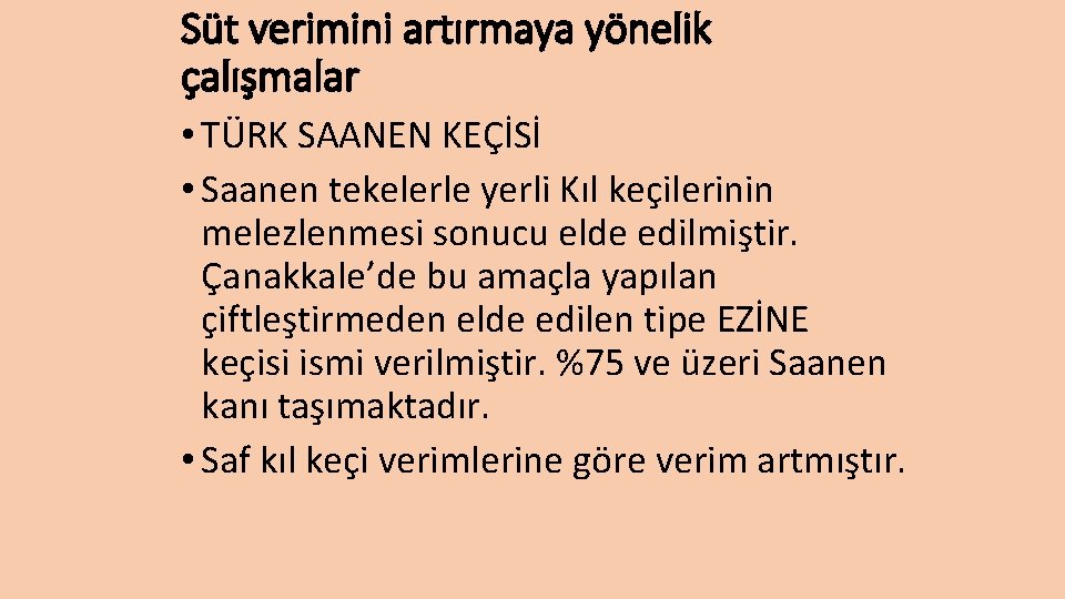 Süt verimini artırmaya yönelik çalışmalar • TÜRK SAANEN KEÇİSİ • Saanen tekelerle yerli Kıl