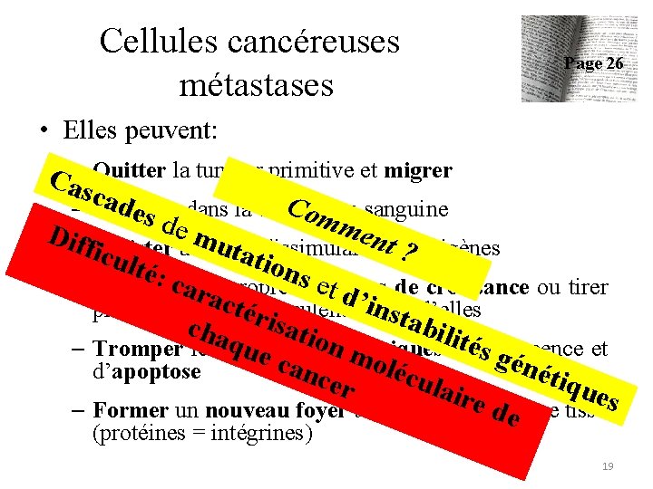 Cellules cancéreuses métastases Page 26 • Elles peuvent: Ca–s Quitter la tumeur primitive et