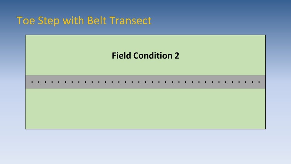 Toe Step with Belt Transect 