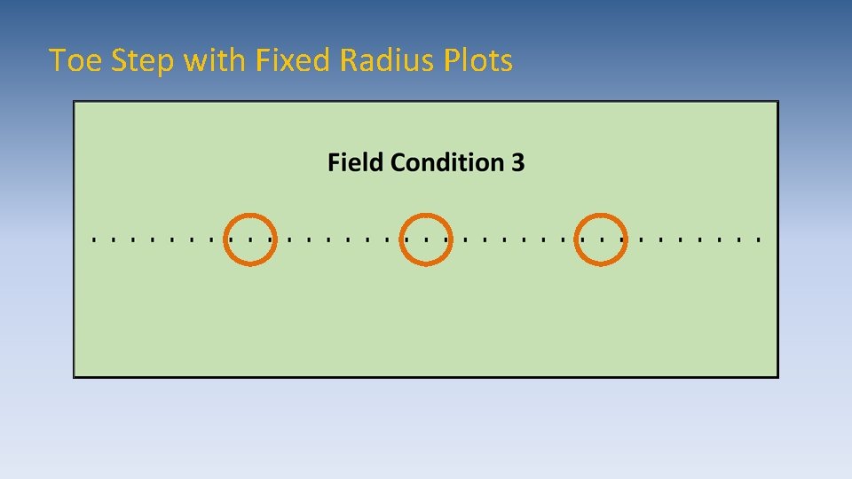 Toe Step with Fixed Radius Plots 
