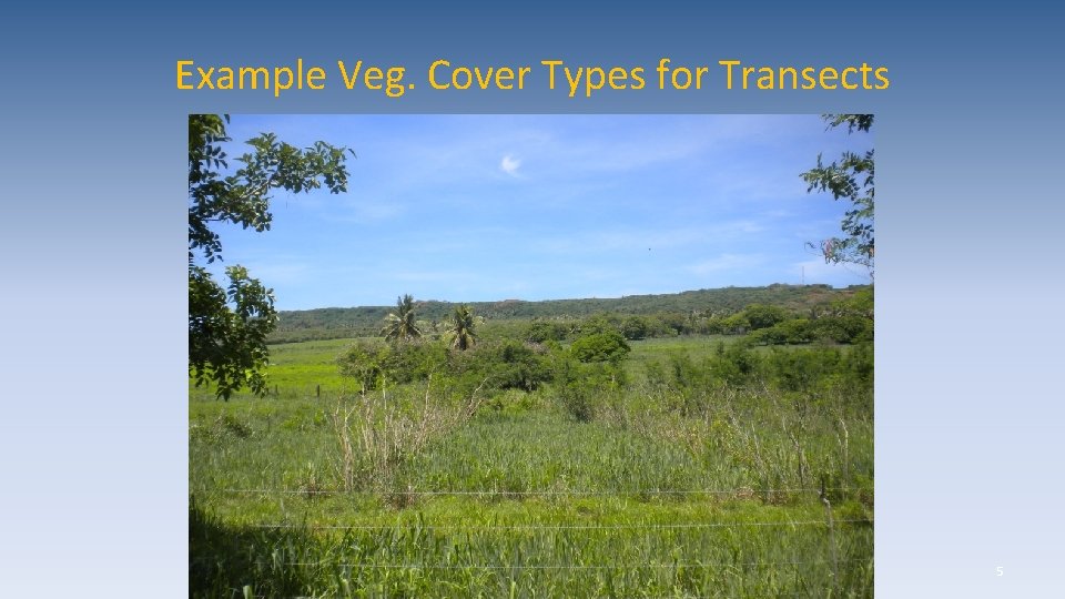 Example Veg. Cover Types for Transects 5 
