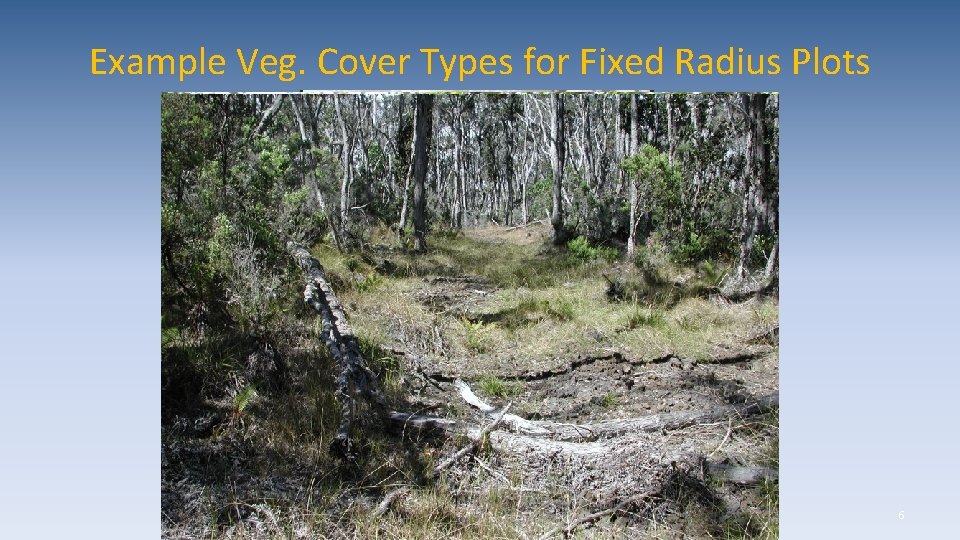 Example Veg. Cover Types for Fixed Radius Plots 6 