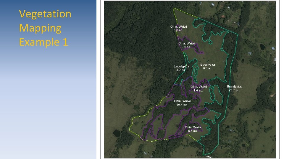 Vegetation Mapping Example 1 