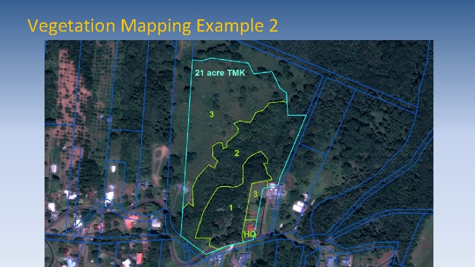 Vegetation Mapping Example 2 