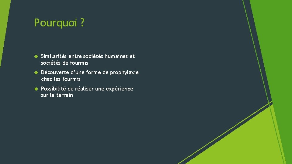 Pourquoi ? Similarités entre sociétés humaines et sociétés de fourmis Découverte d’une forme de