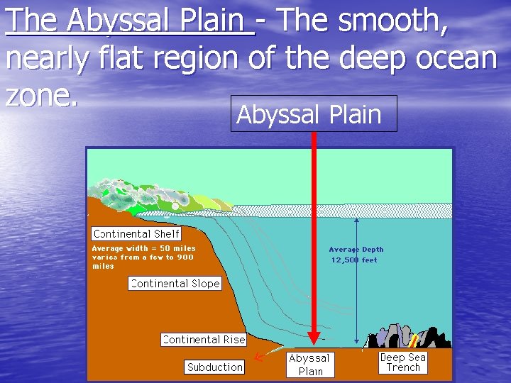 The Abyssal Plain - The smooth, nearly flat region of the deep ocean zone.