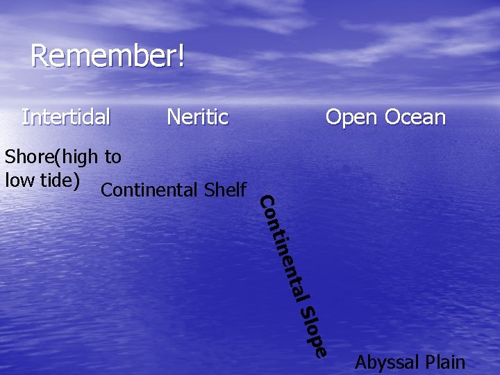 Remember! Intertidal Neritic l Sl nta tine Con Shore(high to low tide) Continental Shelf