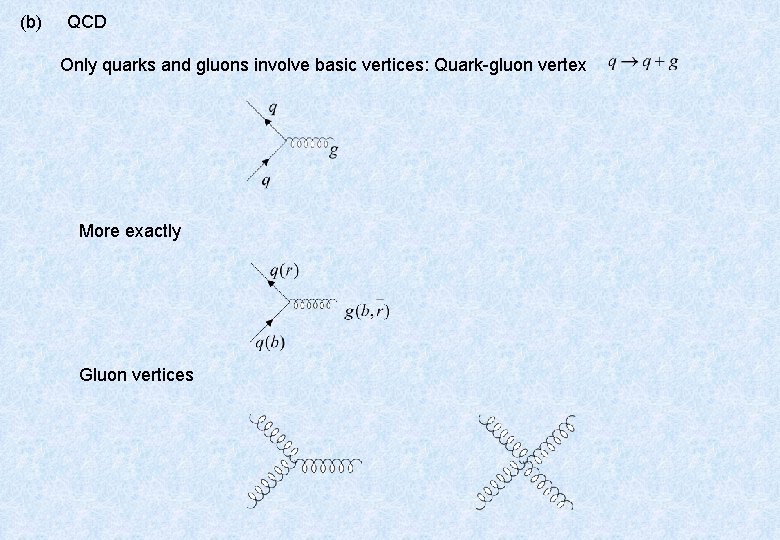 (b) QCD Only quarks and gluons involve basic vertices: Quark-gluon vertex More exactly Gluon