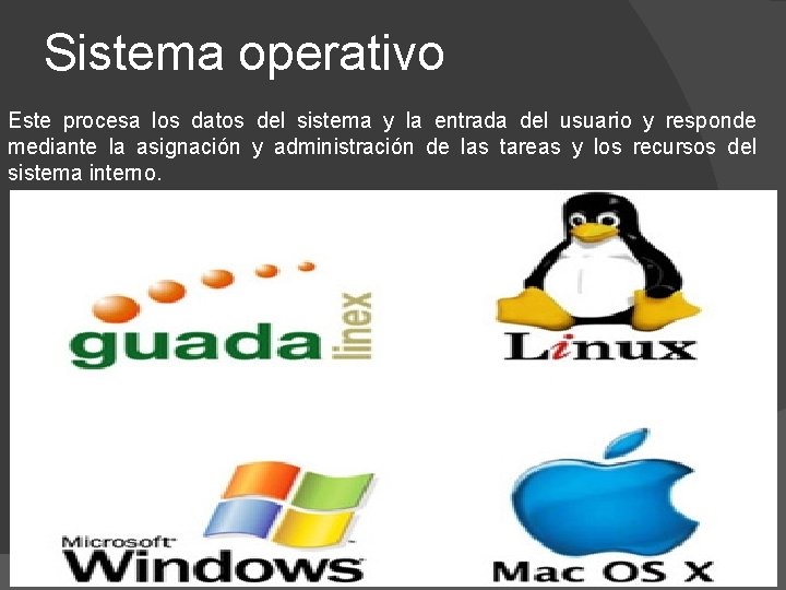 Sistema operativo Este procesa los datos del sistema y la entrada del usuario y Sistema operativo Este procesa los datos del sistema y la entrada del usuario y
