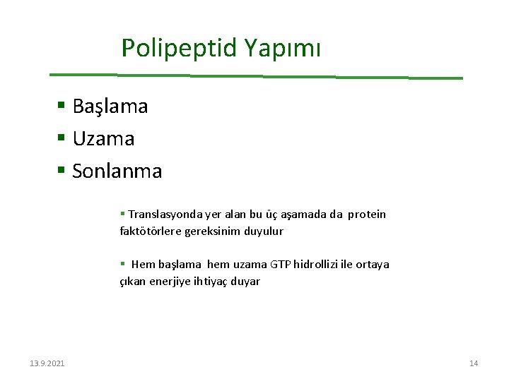 Polipeptid Yapımı § Başlama § Uzama § Sonlanma § Translasyonda yer alan bu üç