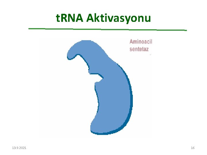 t. RNA Aktivasyonu 13. 9. 2021 16 