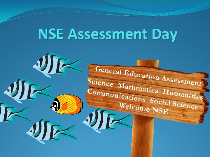 NSE Assessment Day 