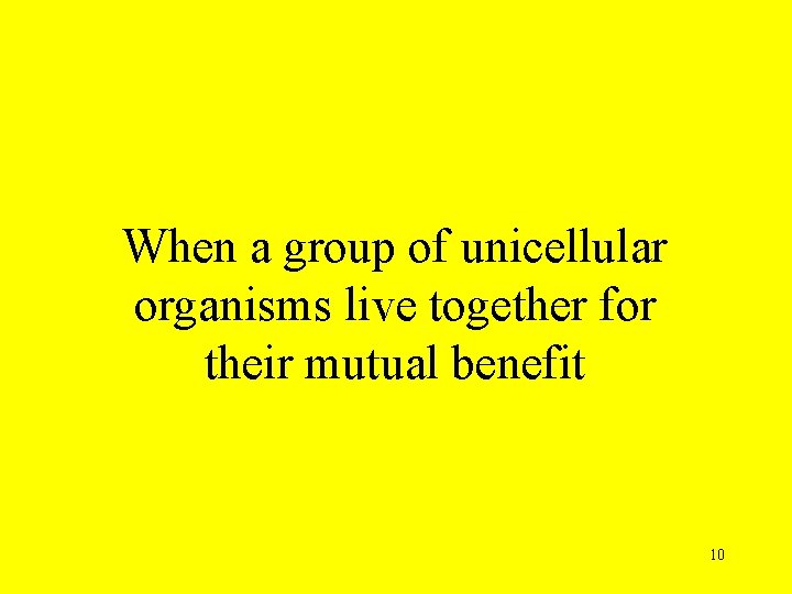 When a group of unicellular organisms live together for their mutual benefit 10 