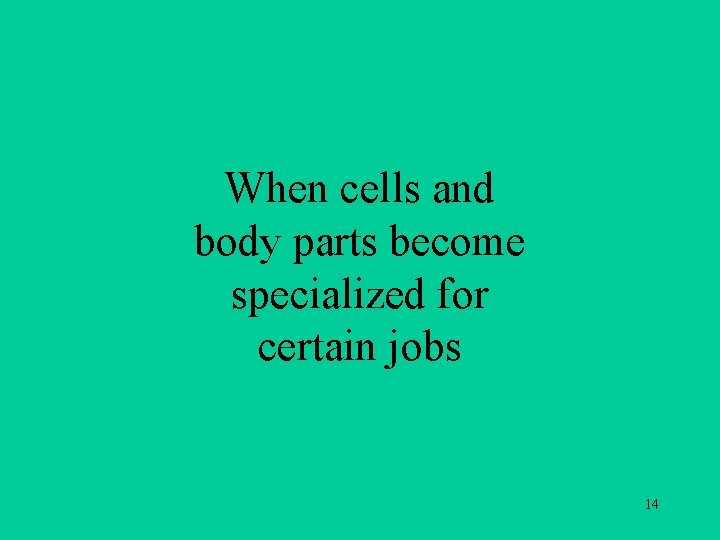 When cells and body parts become specialized for certain jobs 14 