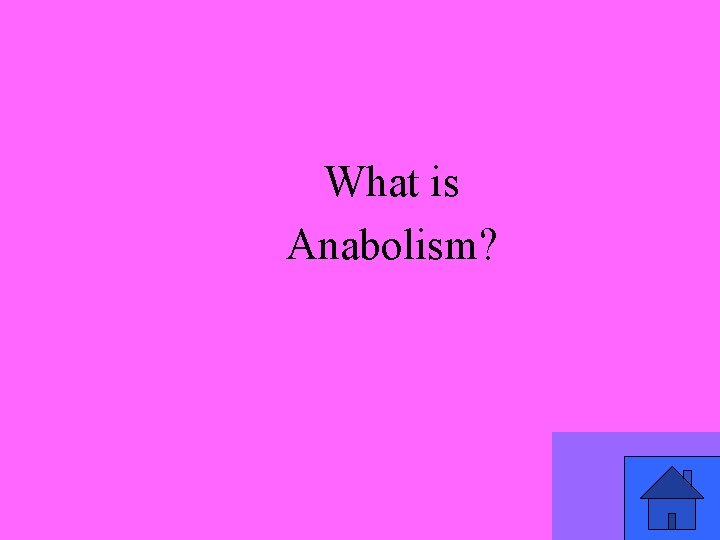 What is Anabolism? 31 