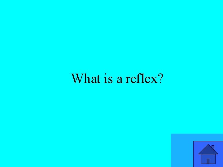 What is a reflex? 33 