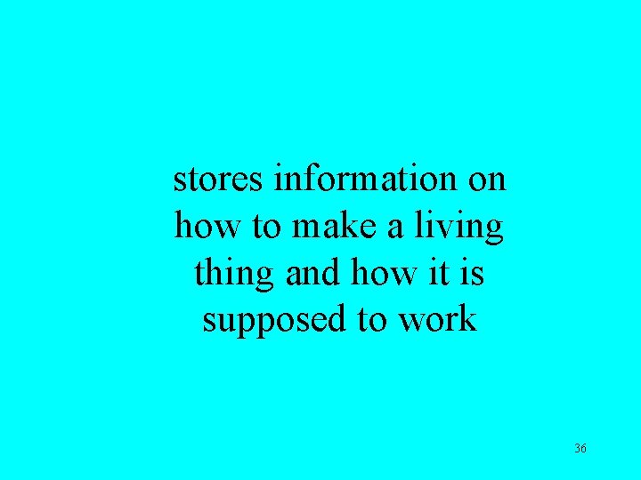 stores information on how to make a living thing and how it is supposed