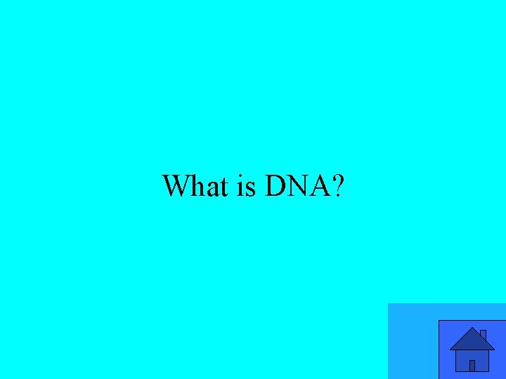 What is DNA? 37 