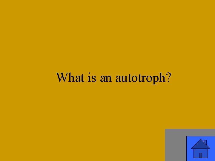 What is an autotroph? 49 