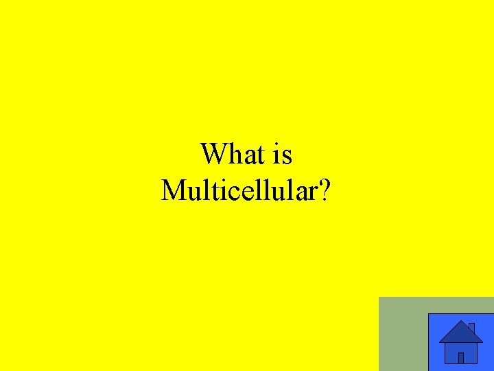 What is Multicellular? 5 