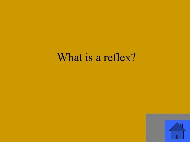 What is a reflex? 51 