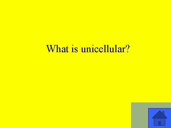 What is unicellular? 7 
