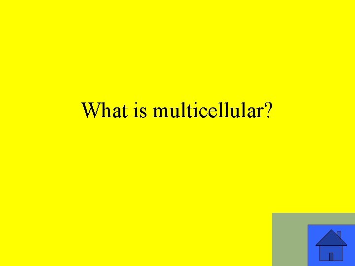 What is multicellular? 9 