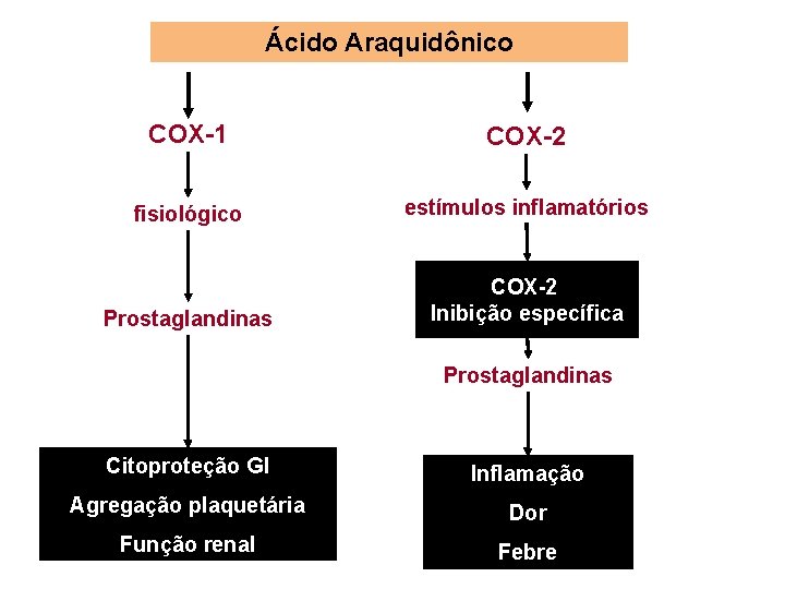 Ácido Araquidônico COX-1 COX-2 fisiológico estímulos inflamatórios Prostaglandinas COX-2 Inibição específica Prostaglandinas Citoproteção GI