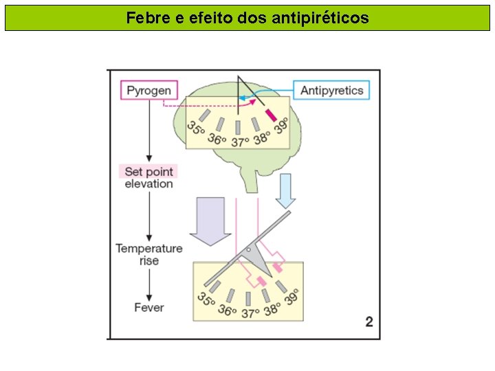 Febre e efeito dos antipiréticos 