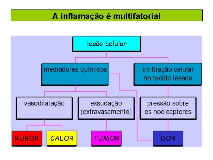 A inflamação é multifatorial 