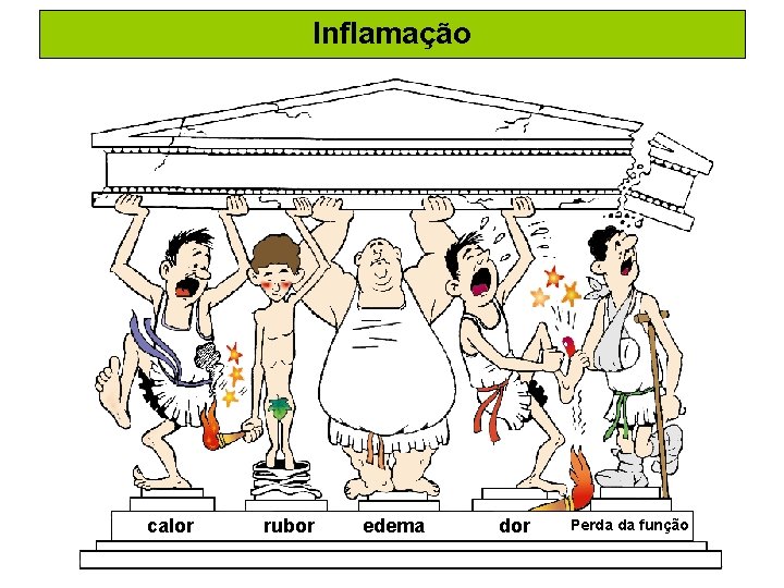 Inflamação calor rubor edema dor Perda da função 