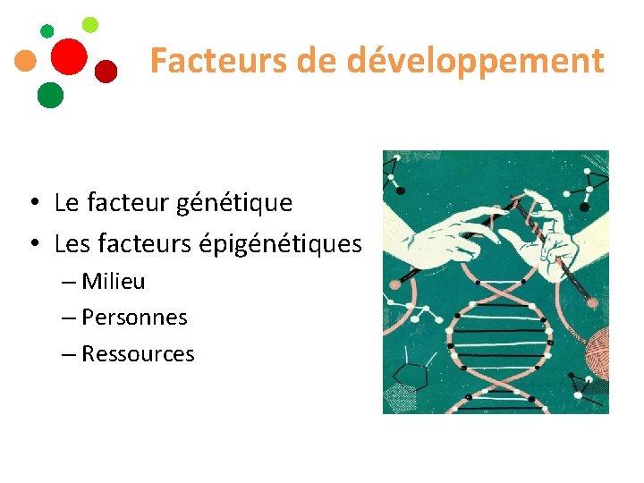 Facteurs de développement • Le facteur génétique • Les facteurs épigénétiques – Milieu –