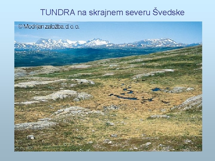 TUNDRA na skrajnem severu Švedske 
